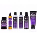Mane Choice Complete Healthy Hair Regimen 6 Pack